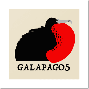 Galapagos Frigate Bird Posters and Art